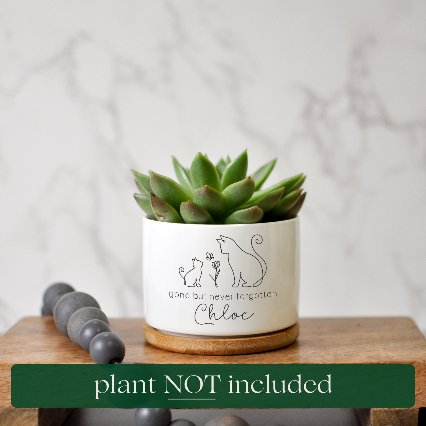 Cat Succulent Planter | Pet Remembrance Sympathy Gift