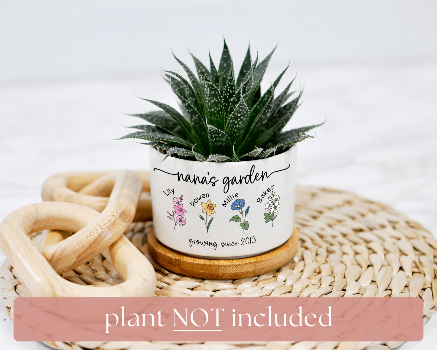 Grandmas Garden Planter | Mini Succulent Planter