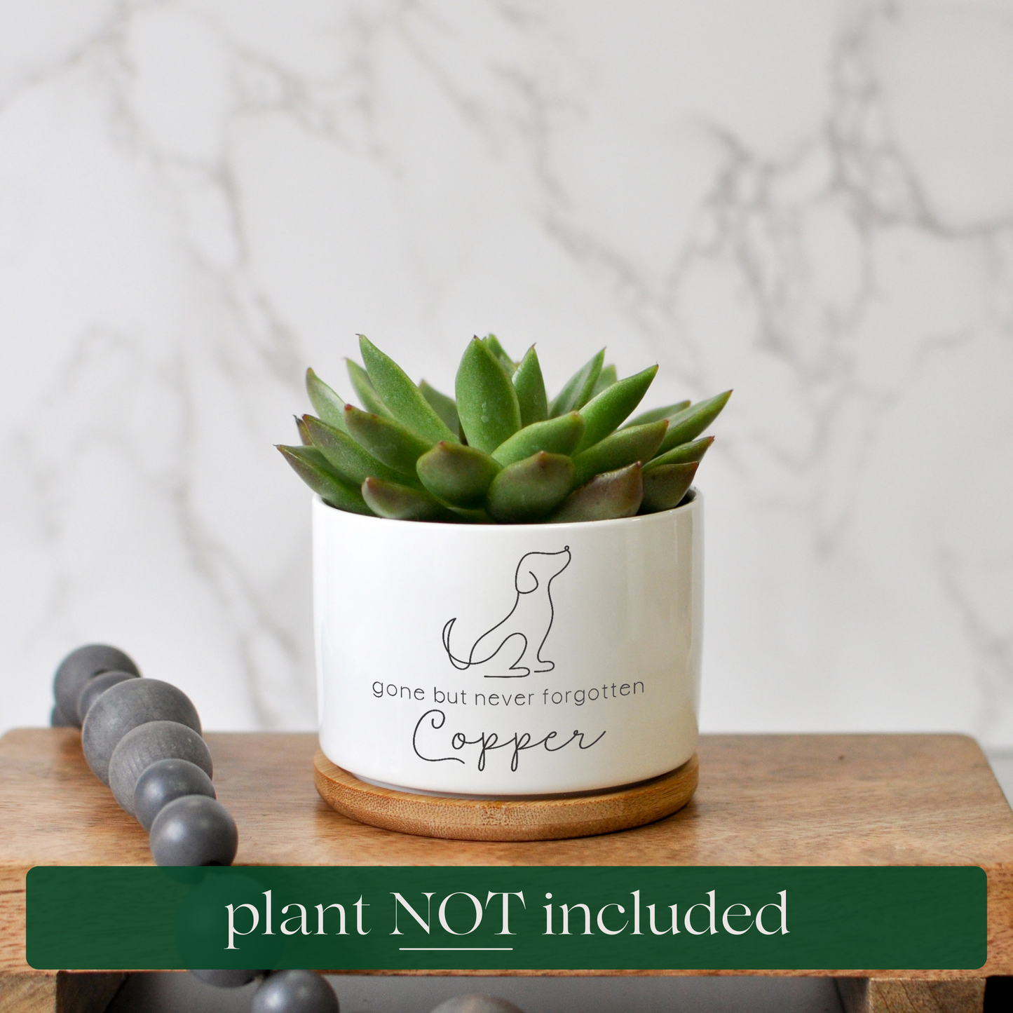 Succulent Cactus Planter | Dog Sympathy Gift