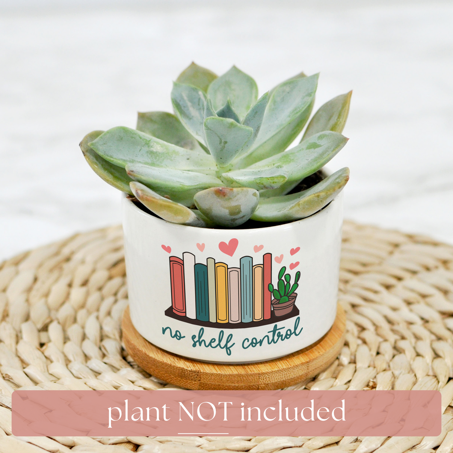 Book Planter | Birthday Gift for Reader