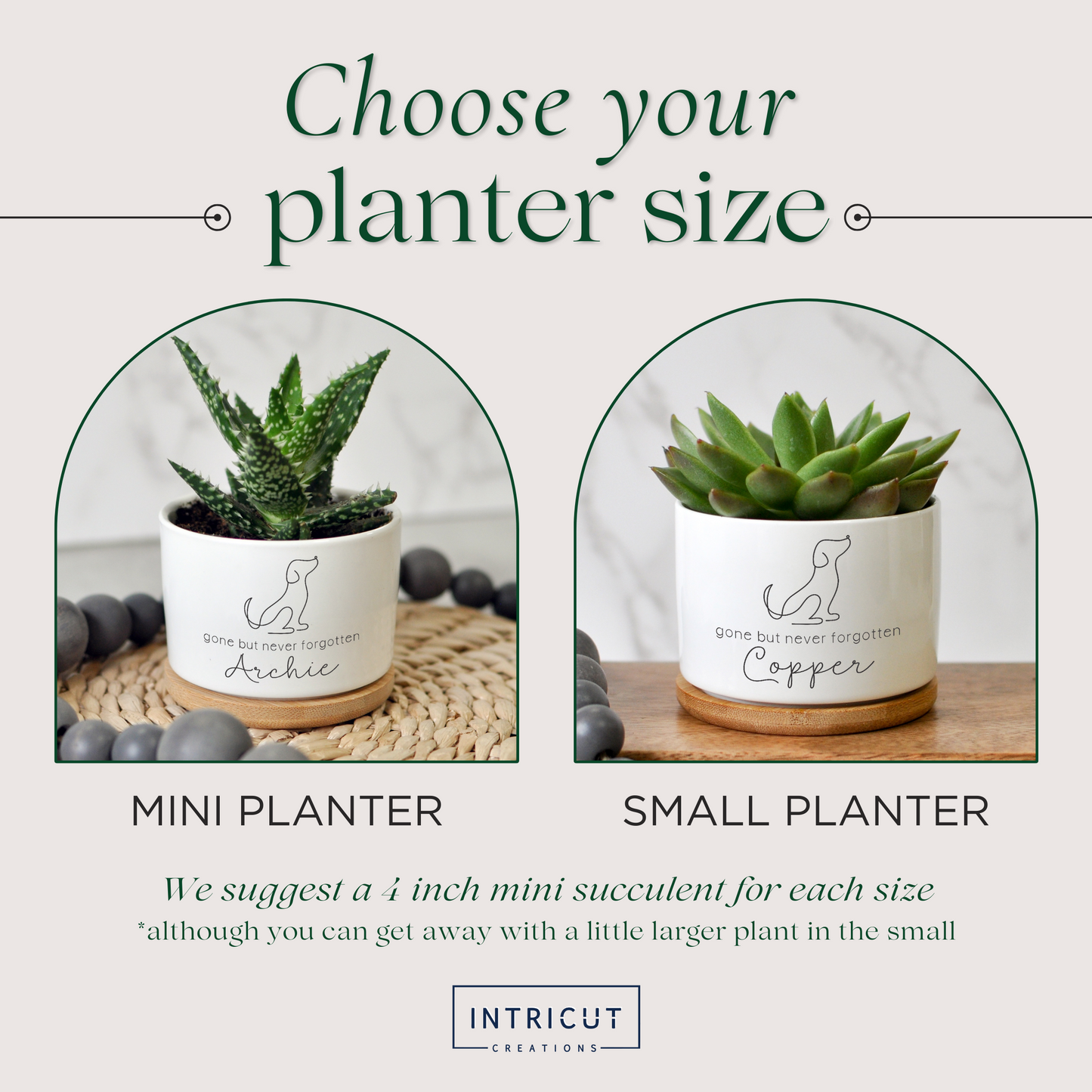 Succulent Cactus Planter | Dog Sympathy Gift