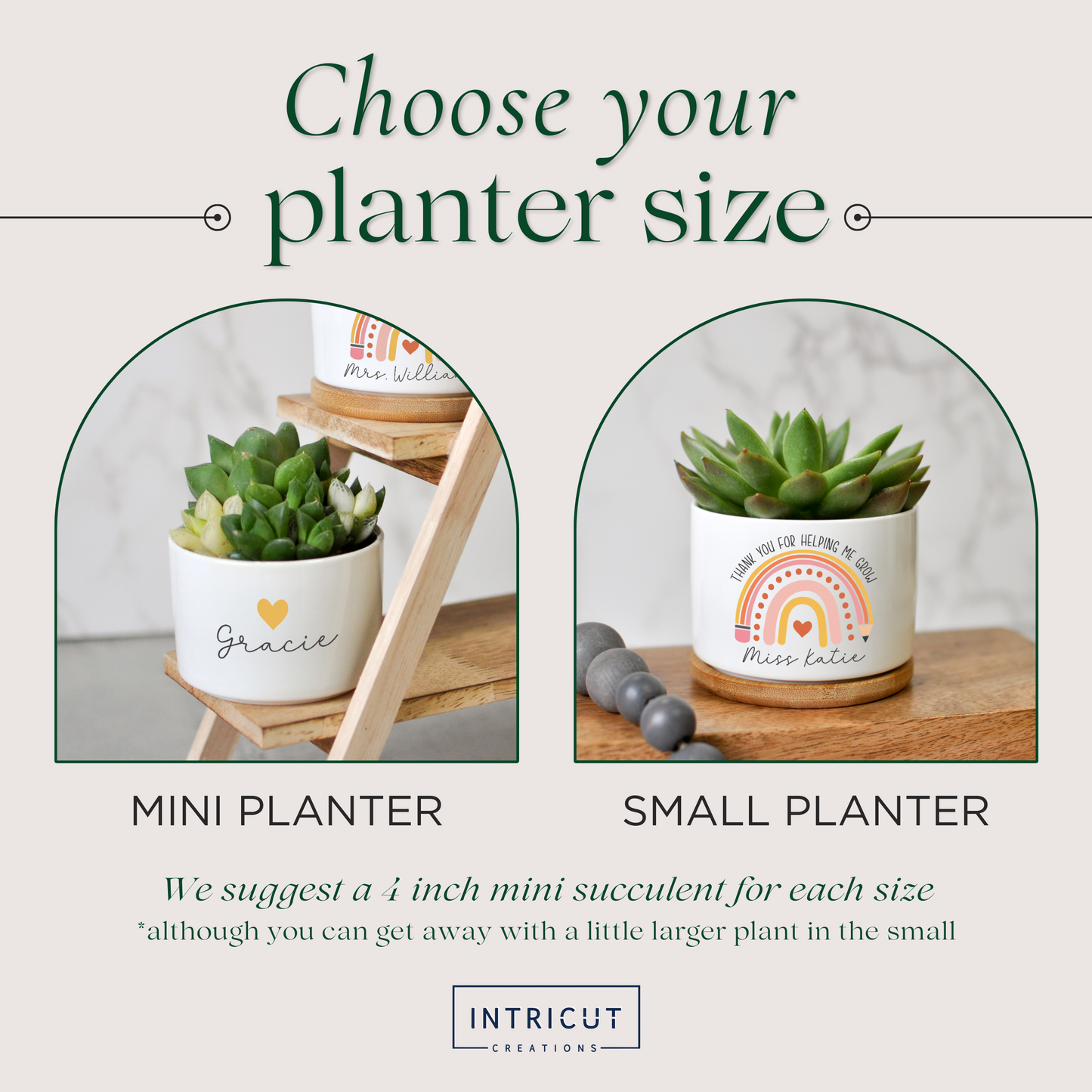 Thank You for Helping Me Grow Planter | Primary Teacher Gift