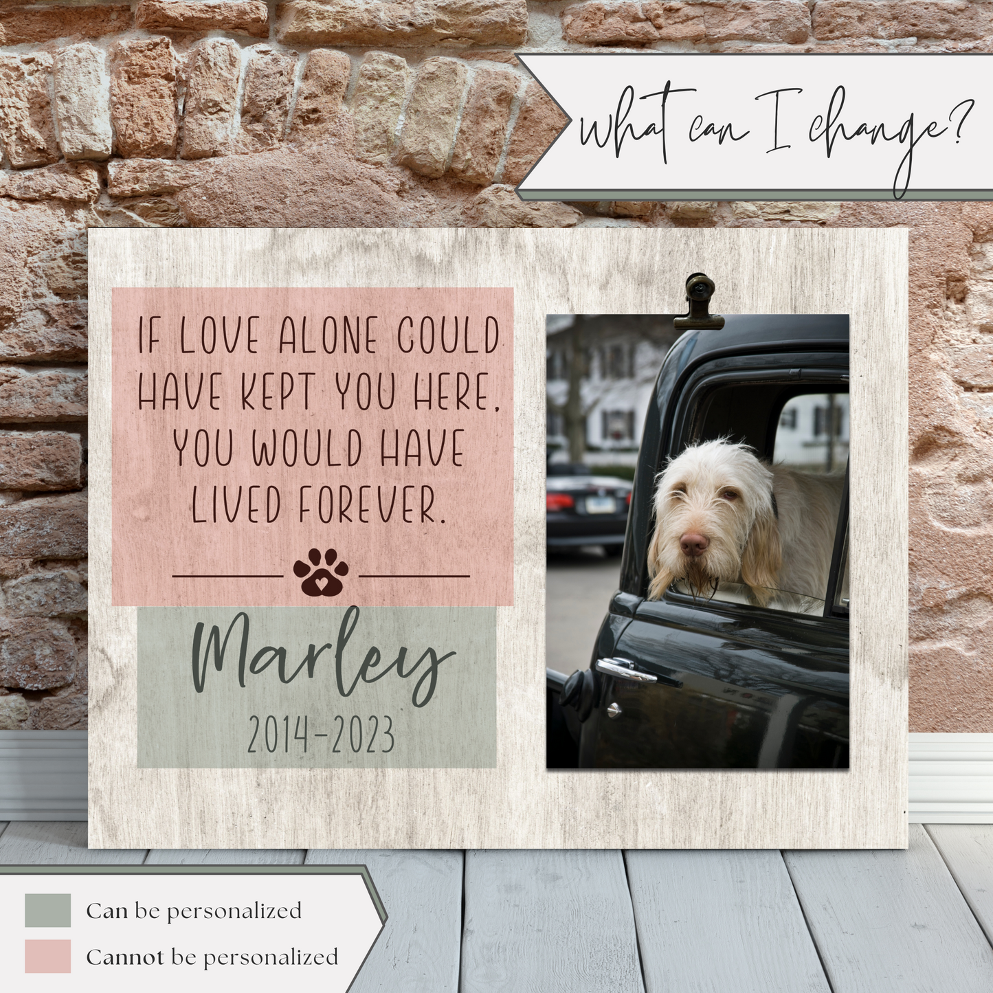 Pet Memorial Picture Frame | Pet Remembrance Gift