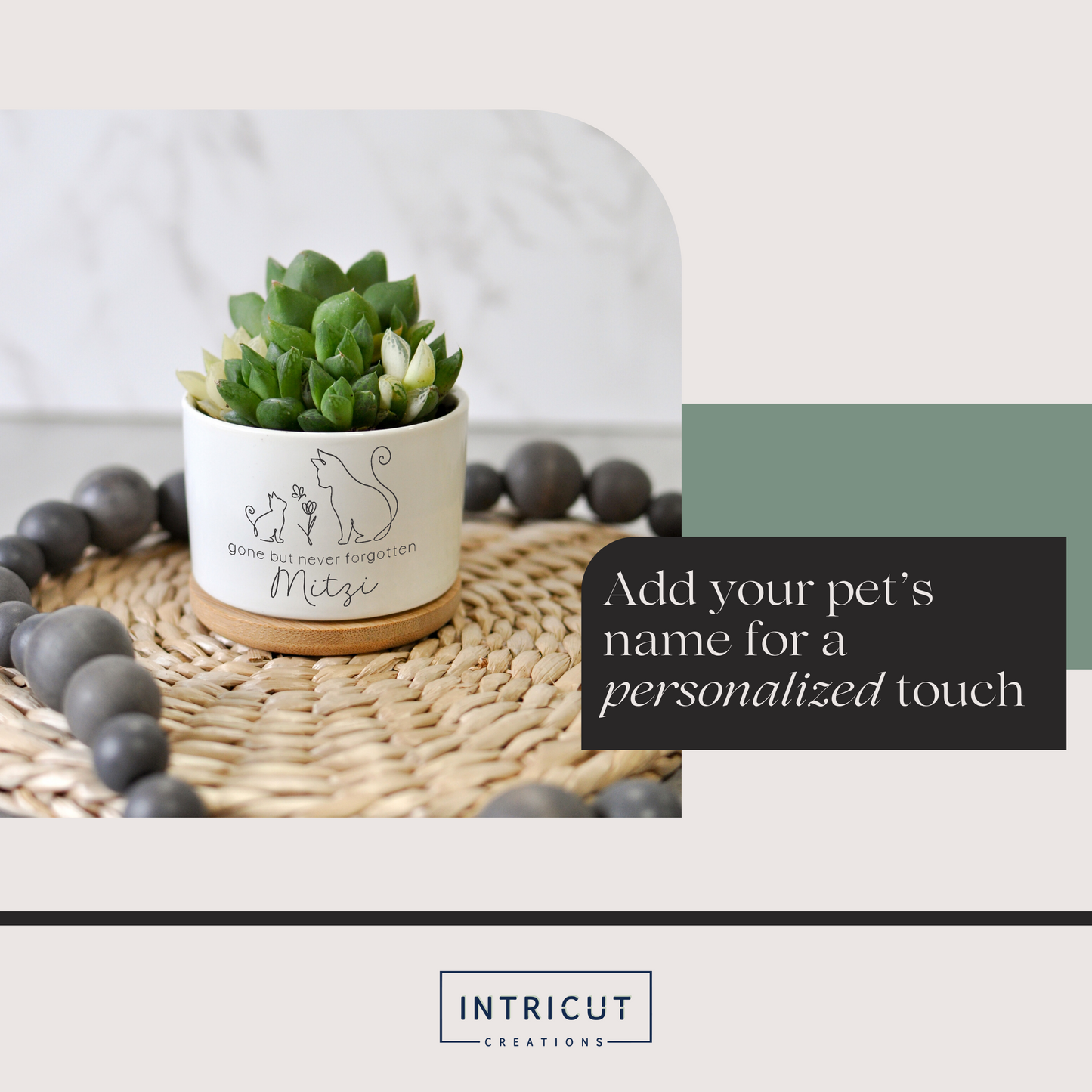 Cat Succulent Planter | Pet Remembrance Sympathy Gift