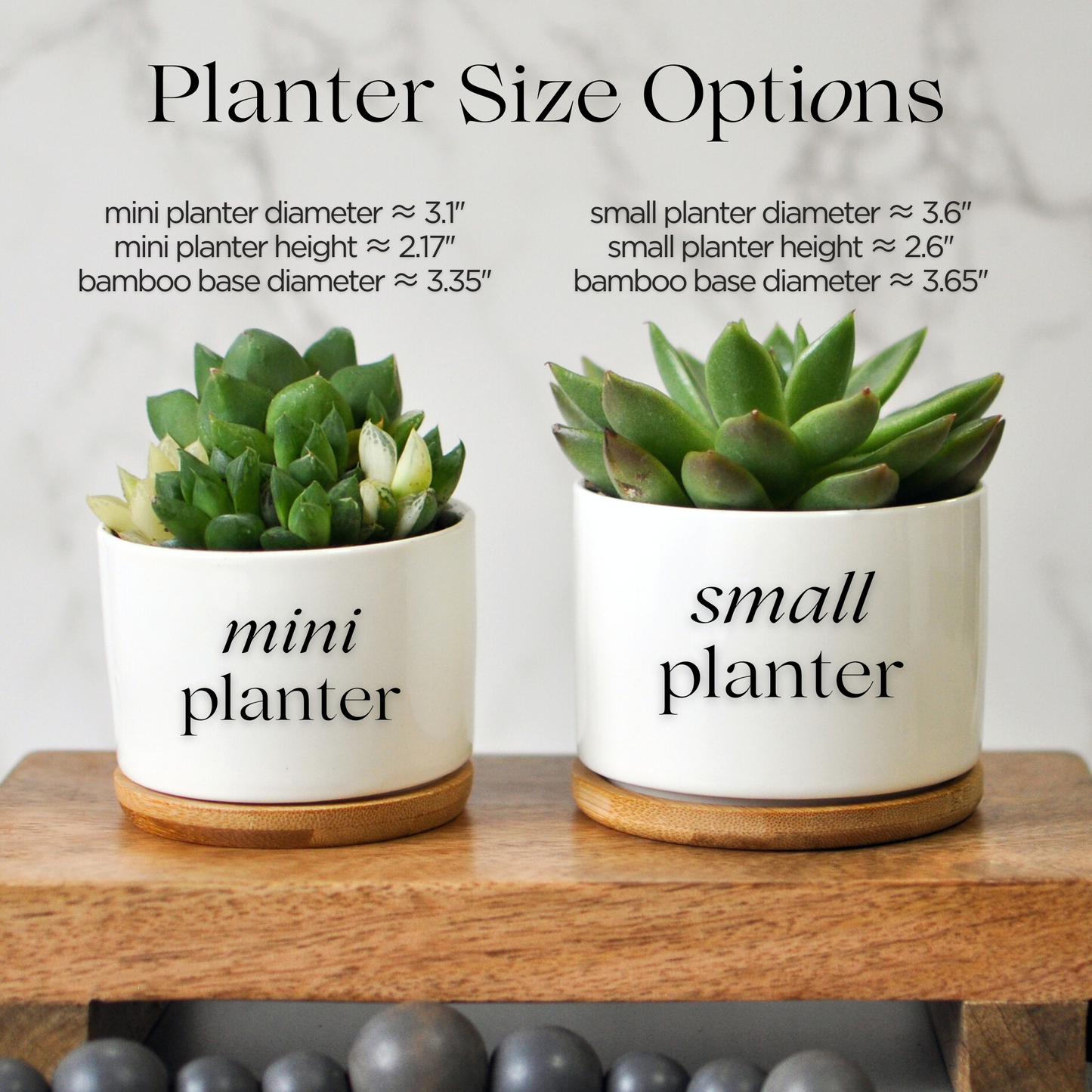 Succulent Cactus Planter | Dog Sympathy Gift