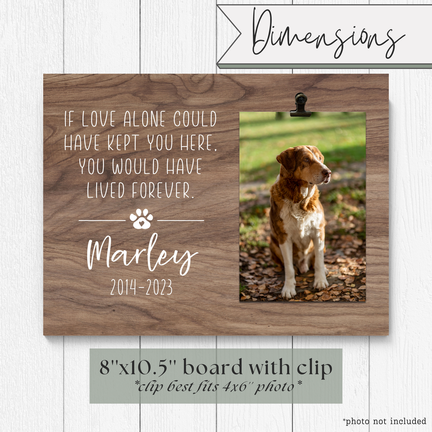 Pet Memorial Picture Frame | Pet Remembrance Gift