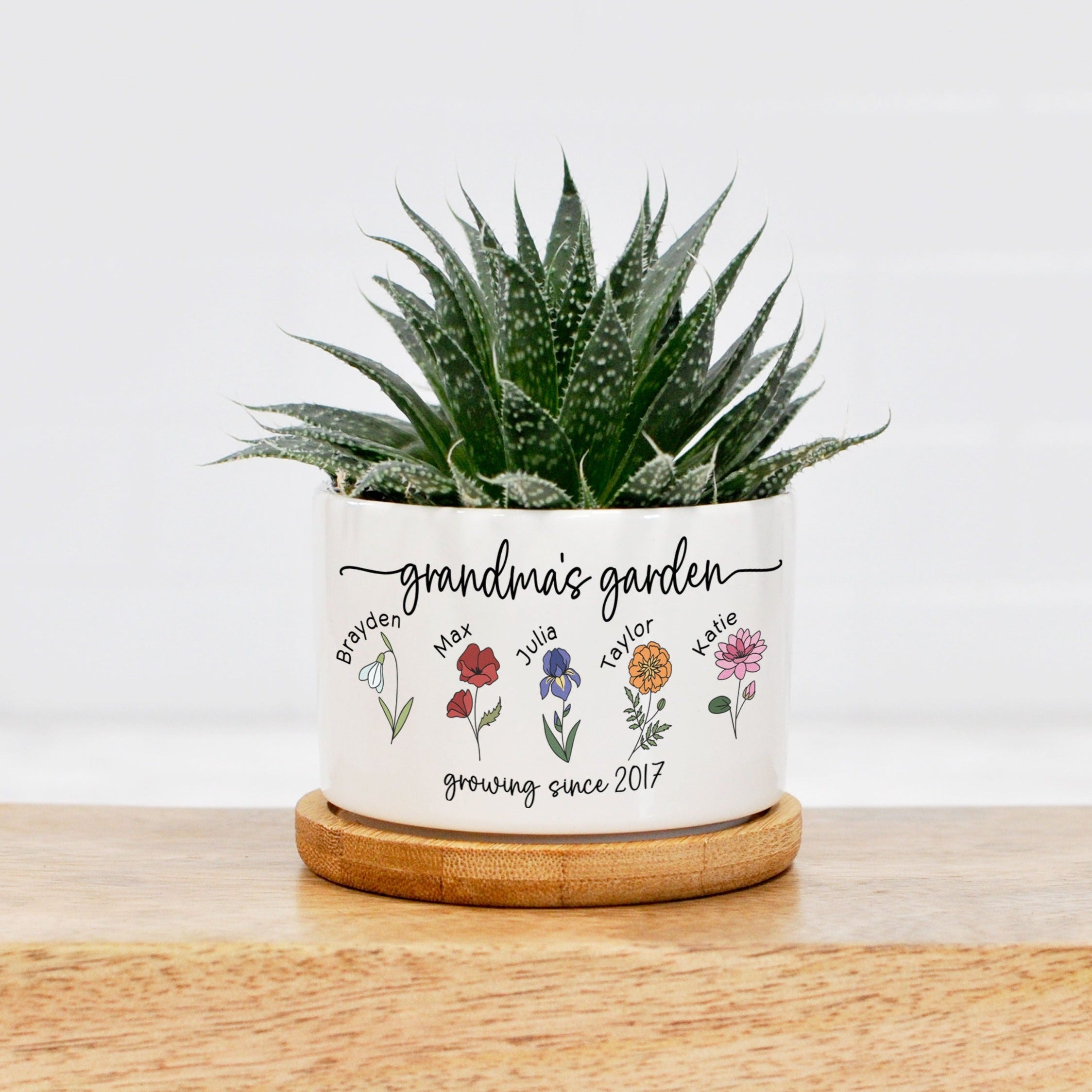 Grandmas Garden Planter