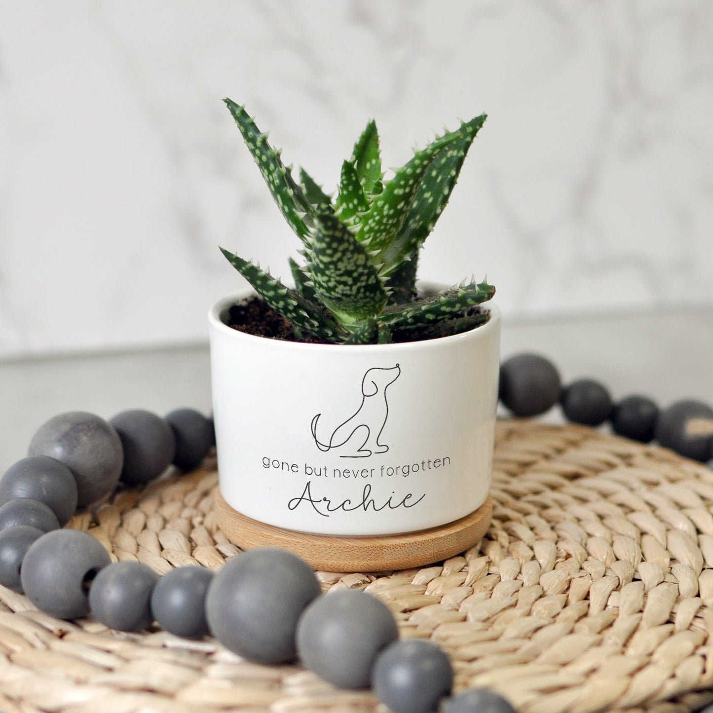 Succulent Cactus Planter | Dog Sympathy Gift