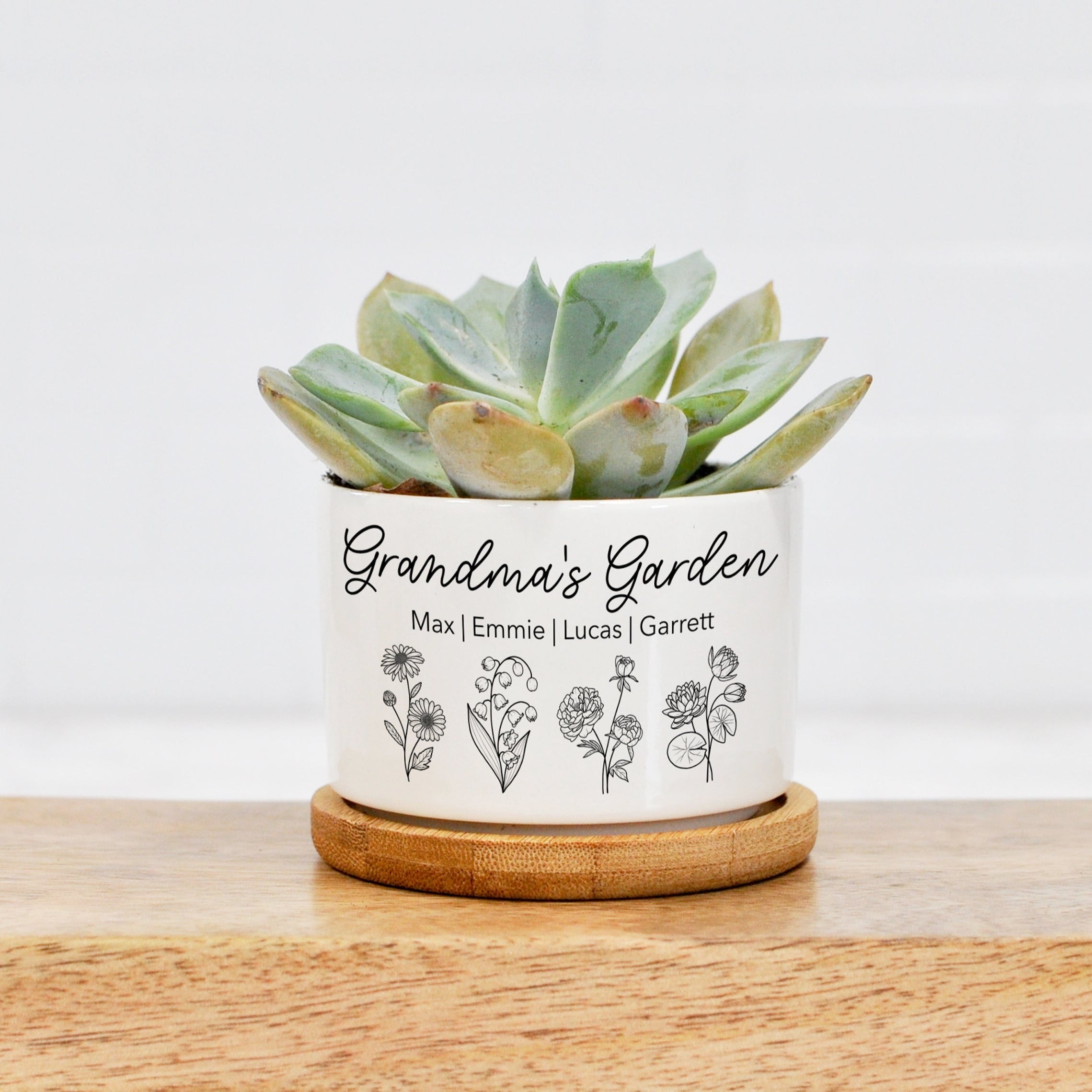 minimalist succulent planter Grandmas Garden
