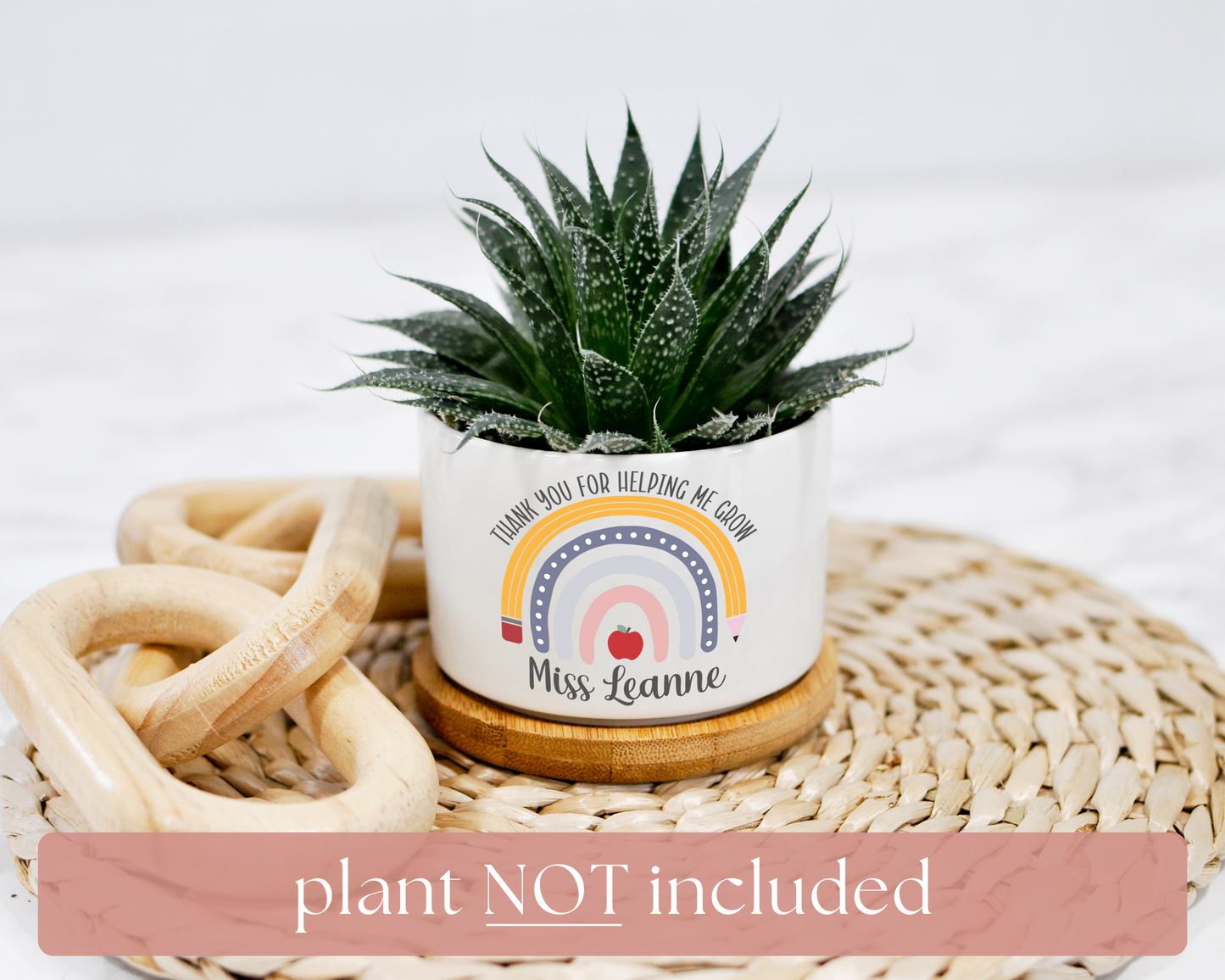 plant not included