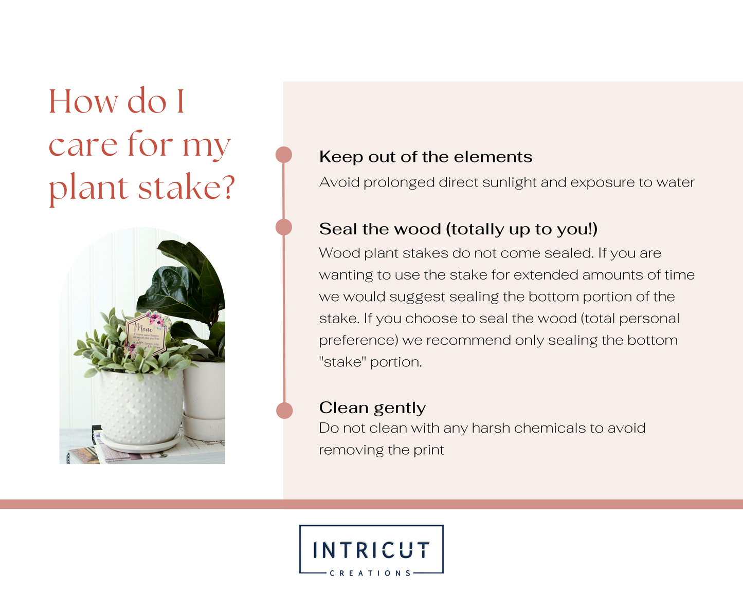 how do I care for my plant stake