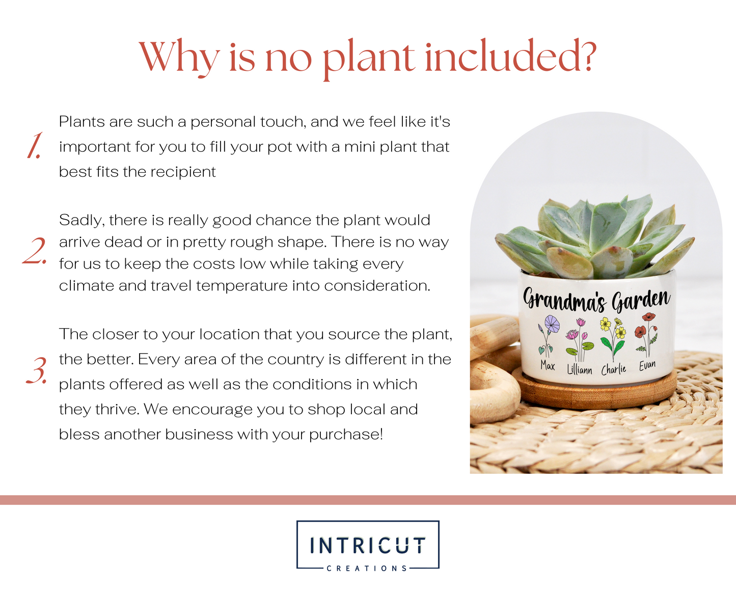 Grandma's Garden Mini Planter | Gift for Grandma