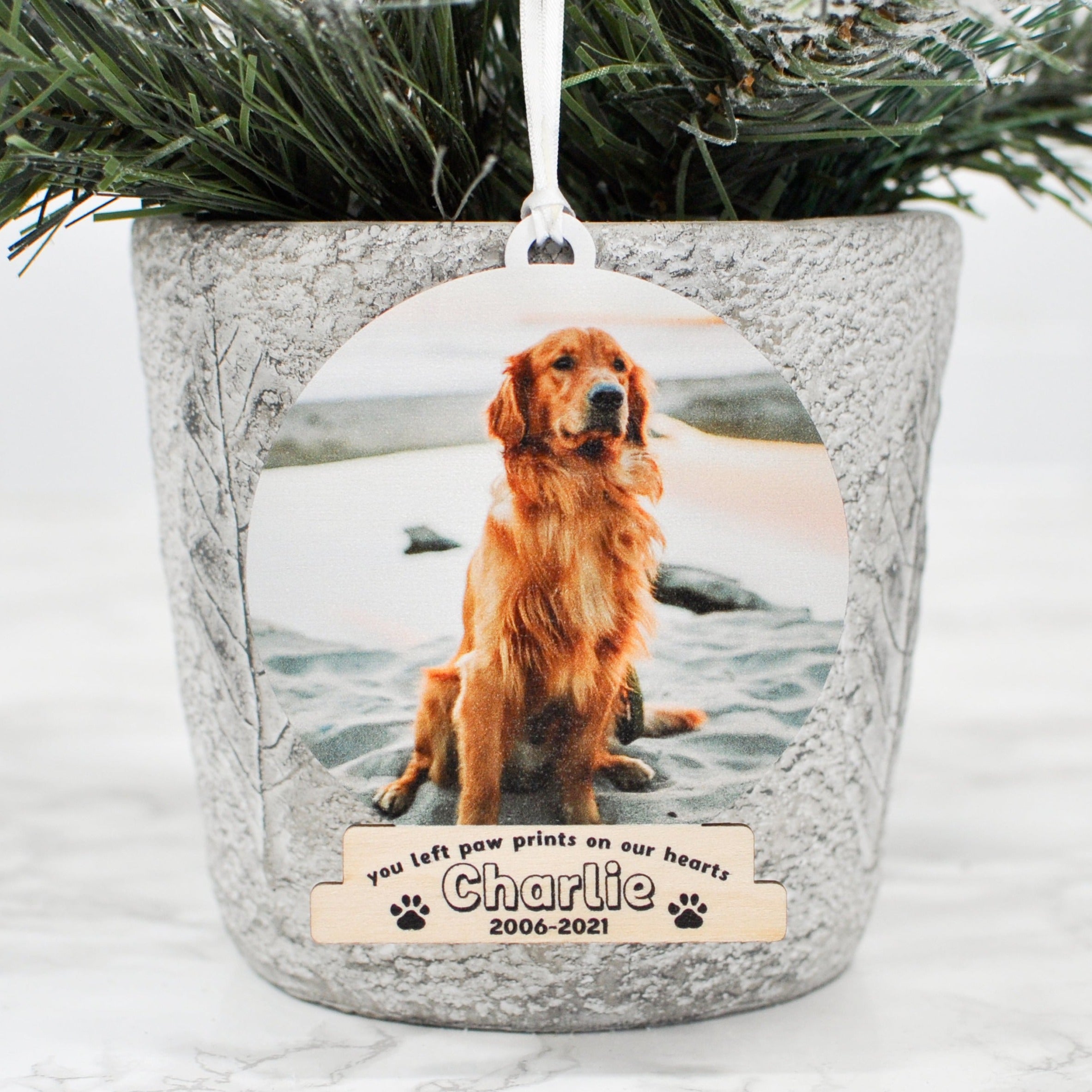 Snow Globe Wood Pet Memorial Ornament | Family Pet Photo Ornament