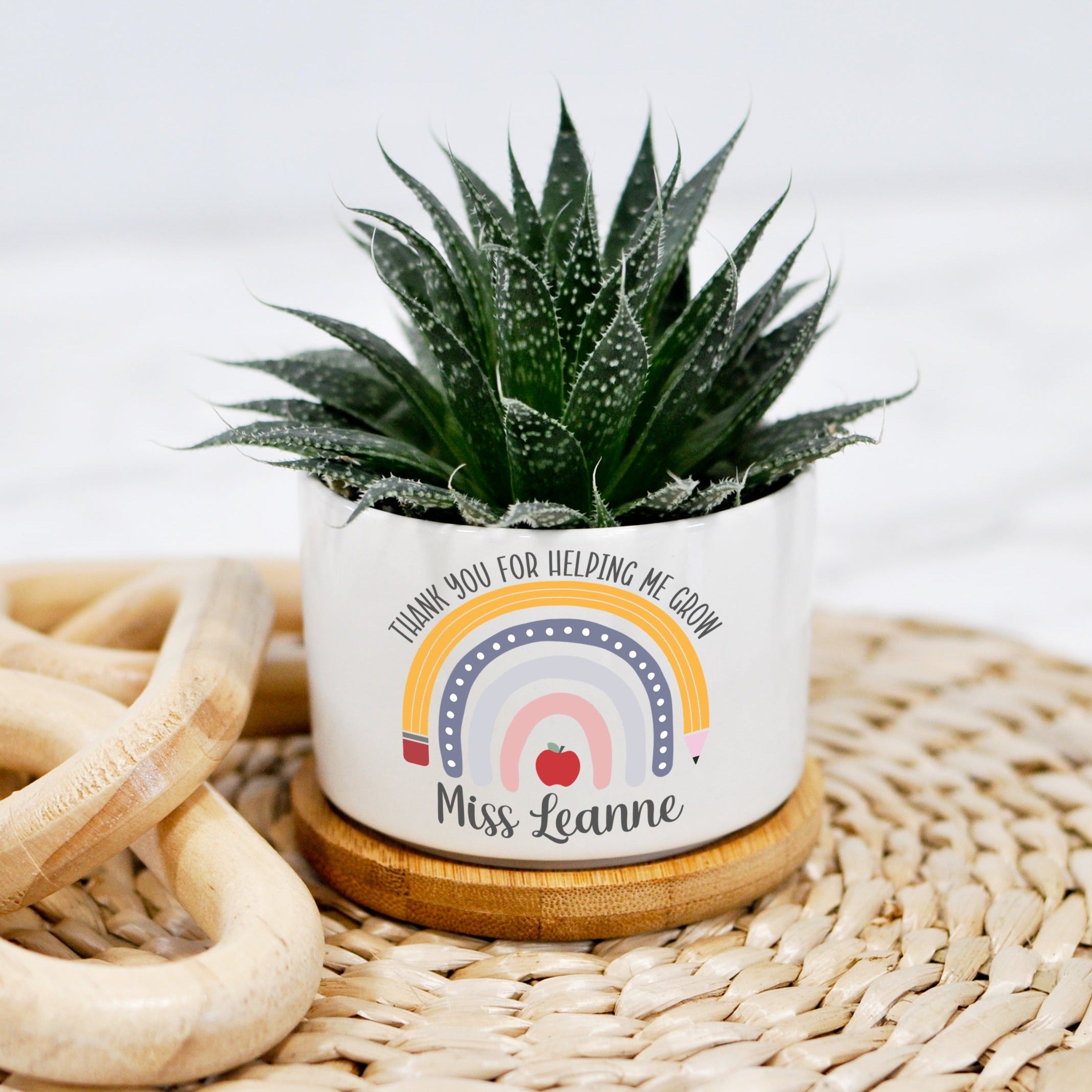 plant pot thank you for helping me grow Rainbow Thank You For Helping Me Grow Mini Planter