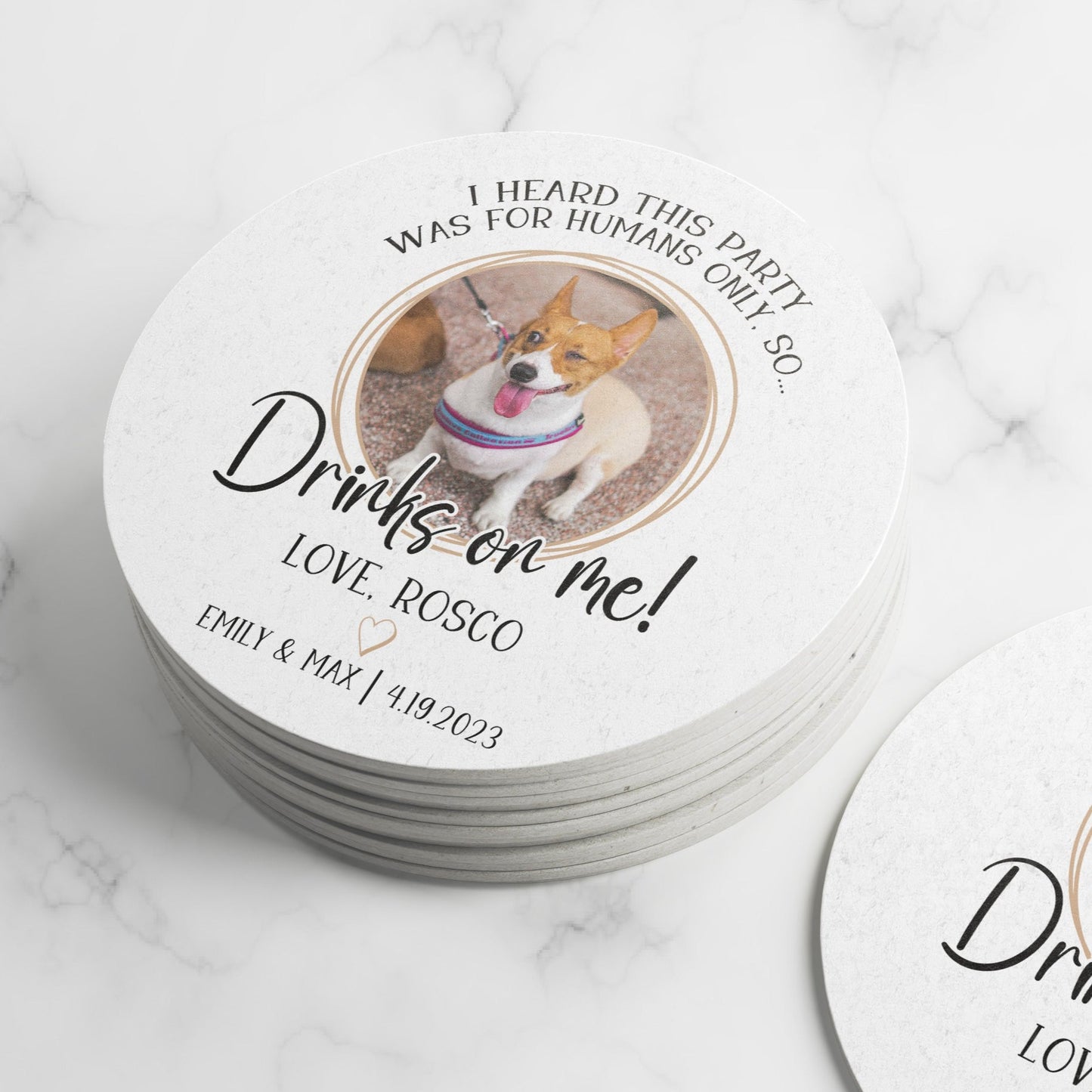 drinks on me! cute dog photo printed coasters