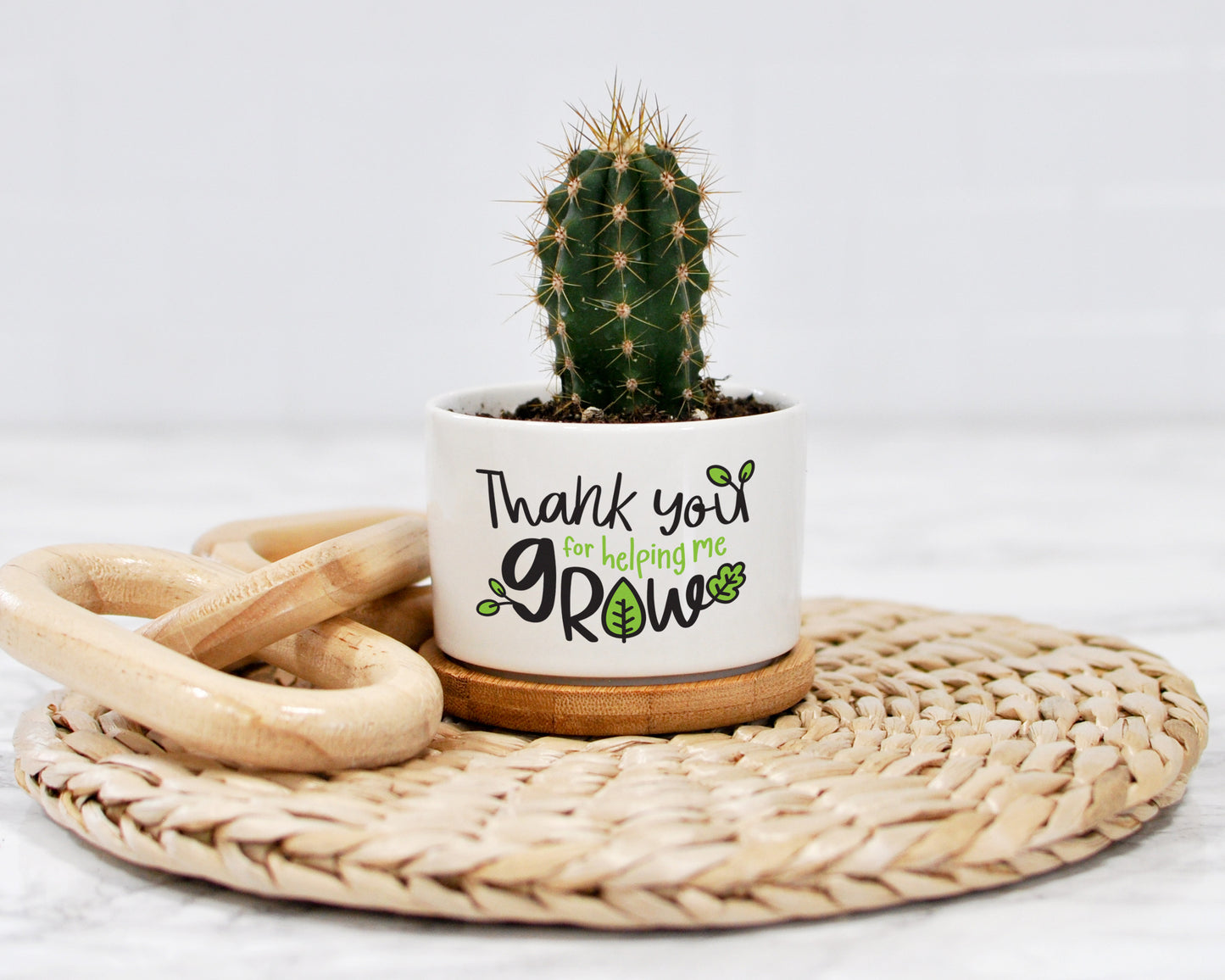 thank you for helping me grow mini plant pot