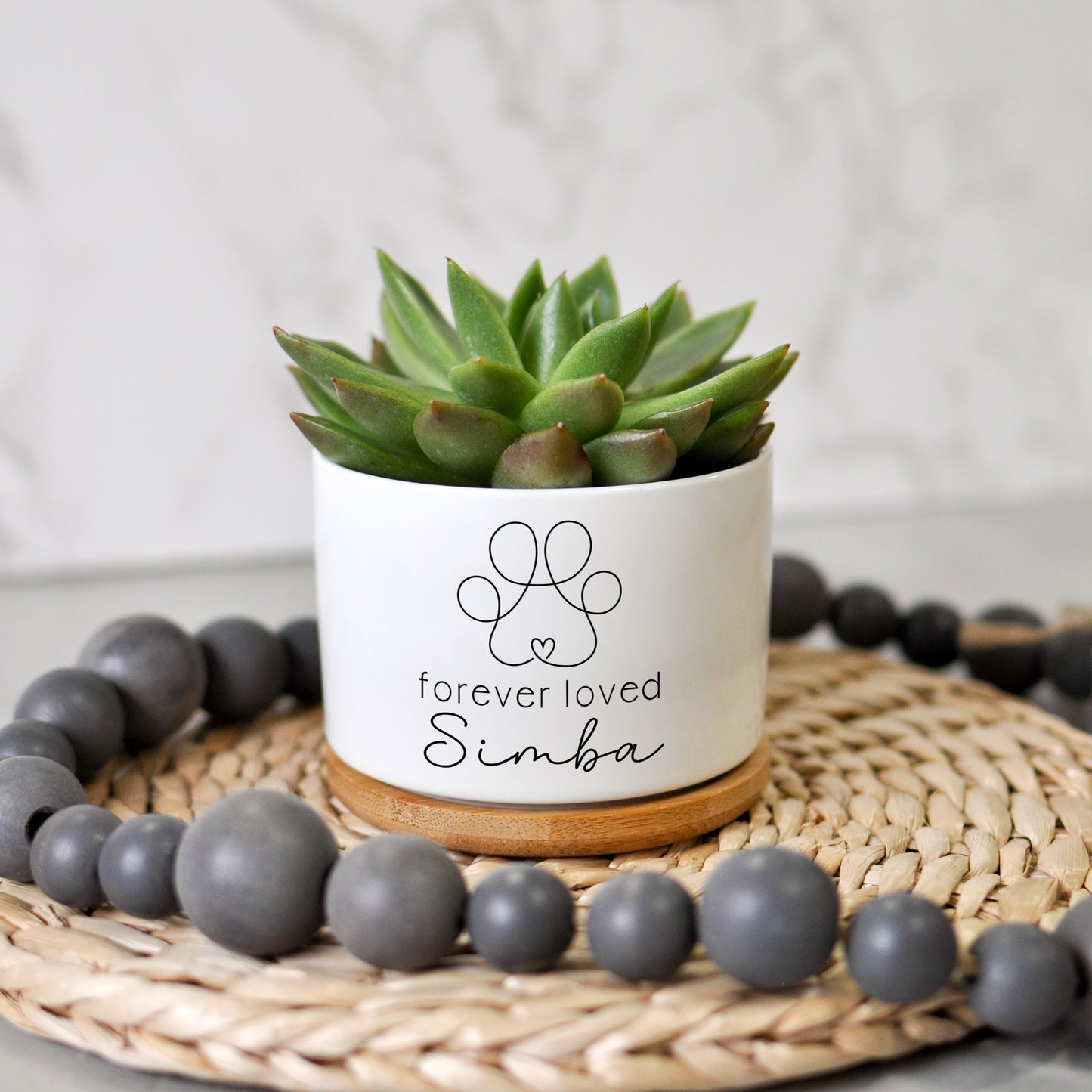 Pet Memorial Planter | Personalized Sympathy Gift for Loss of Pet