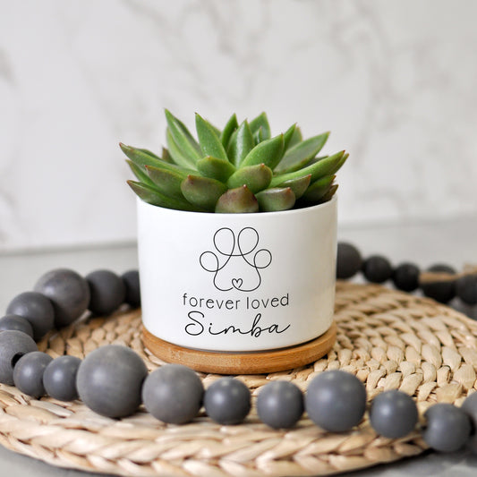 Pet Memorial Planter | Personalized Sympathy Gift for Loss of Pet