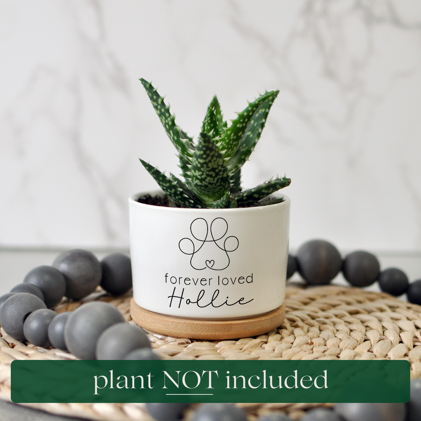 Pet Memorial Planter | Personalized Sympathy Gift for Loss of Pet