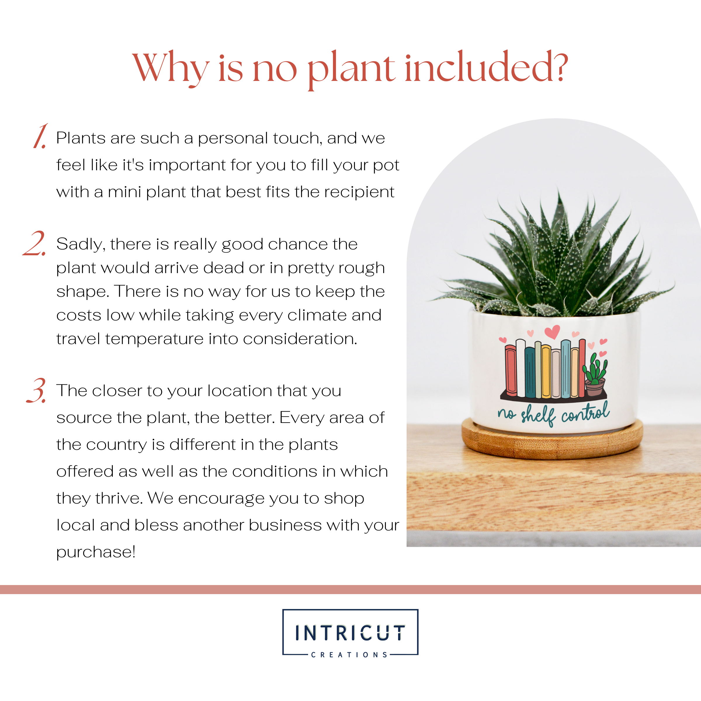 book plant pot Book Planter