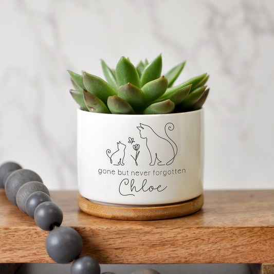 Cat Succulent Planter | Pet Remembrance Sympathy Gift