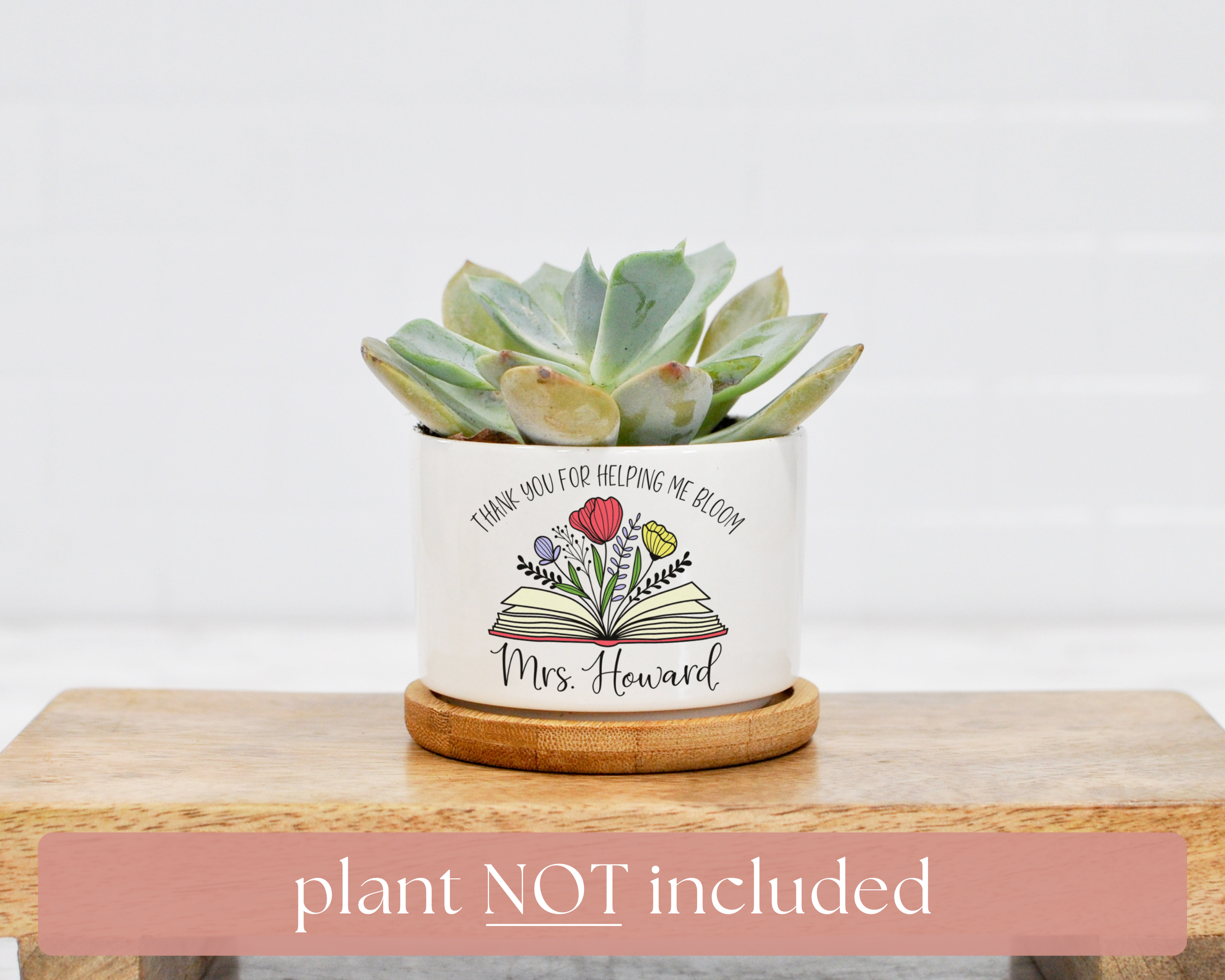 teacher appreciation succulent plant Thank You For Helping Me Bloom Mini Planter