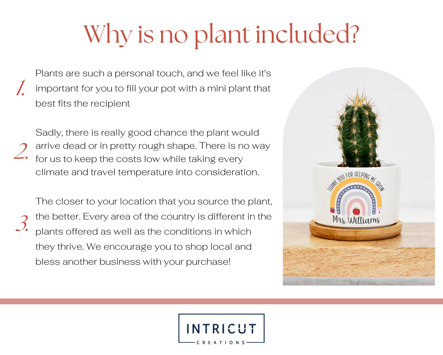 why is no plant included? they would arrive dead or in rough shape, the closer you shop and source your plant the better. We encourage you to shop local and bless another business with your purchase