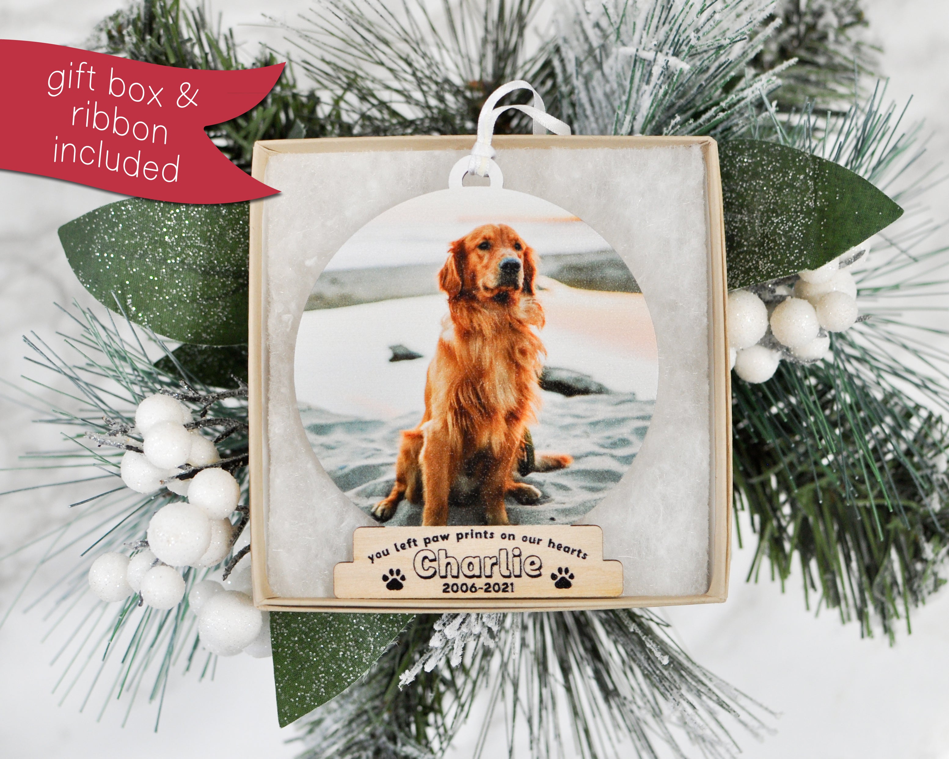 Cuscino Personalizzato - Famiglia Animale - Cuscino Di Natale - Regalo Di Natale Cuscino Personalizzato - Famiglia Animale - Cuscino Di Natale - Regalo Di Natale