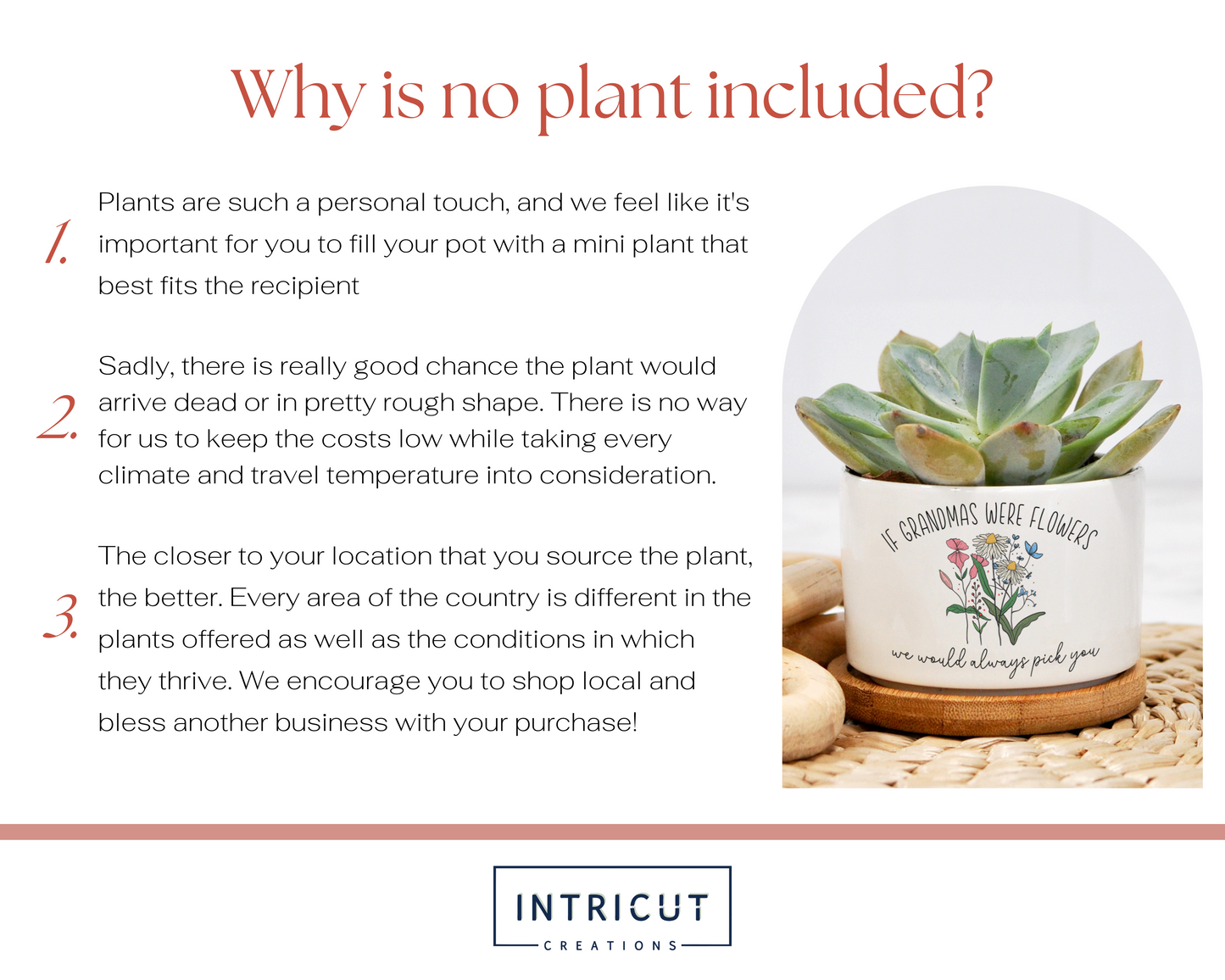 why is no plant included? cost, personal preference, delivery
