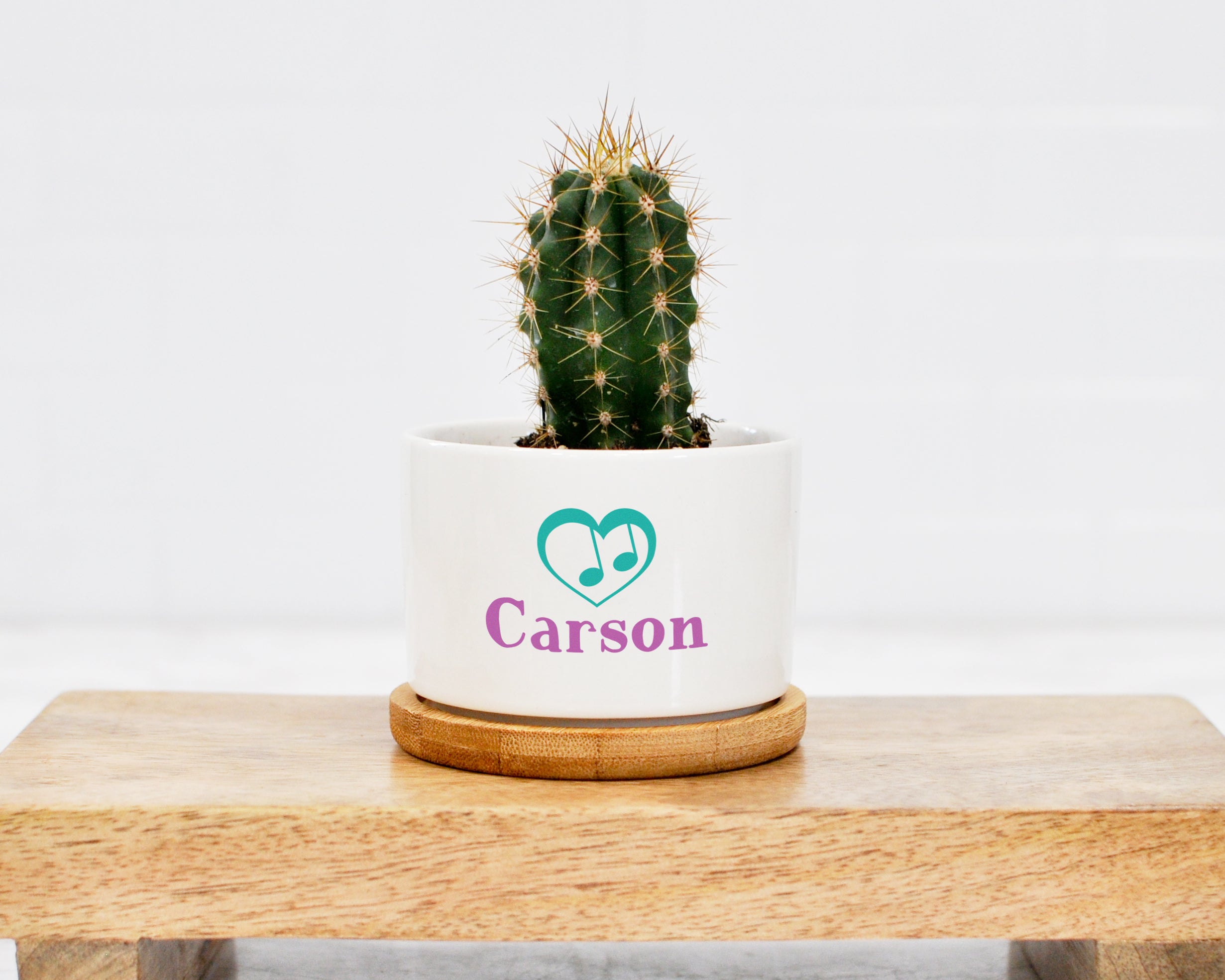 music for succulents Music Teacher Personalized Mini Planter