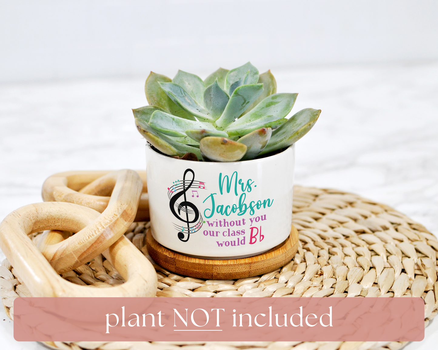 teacher appreciation succulent plant Music Teacher Personalized Mini Planter