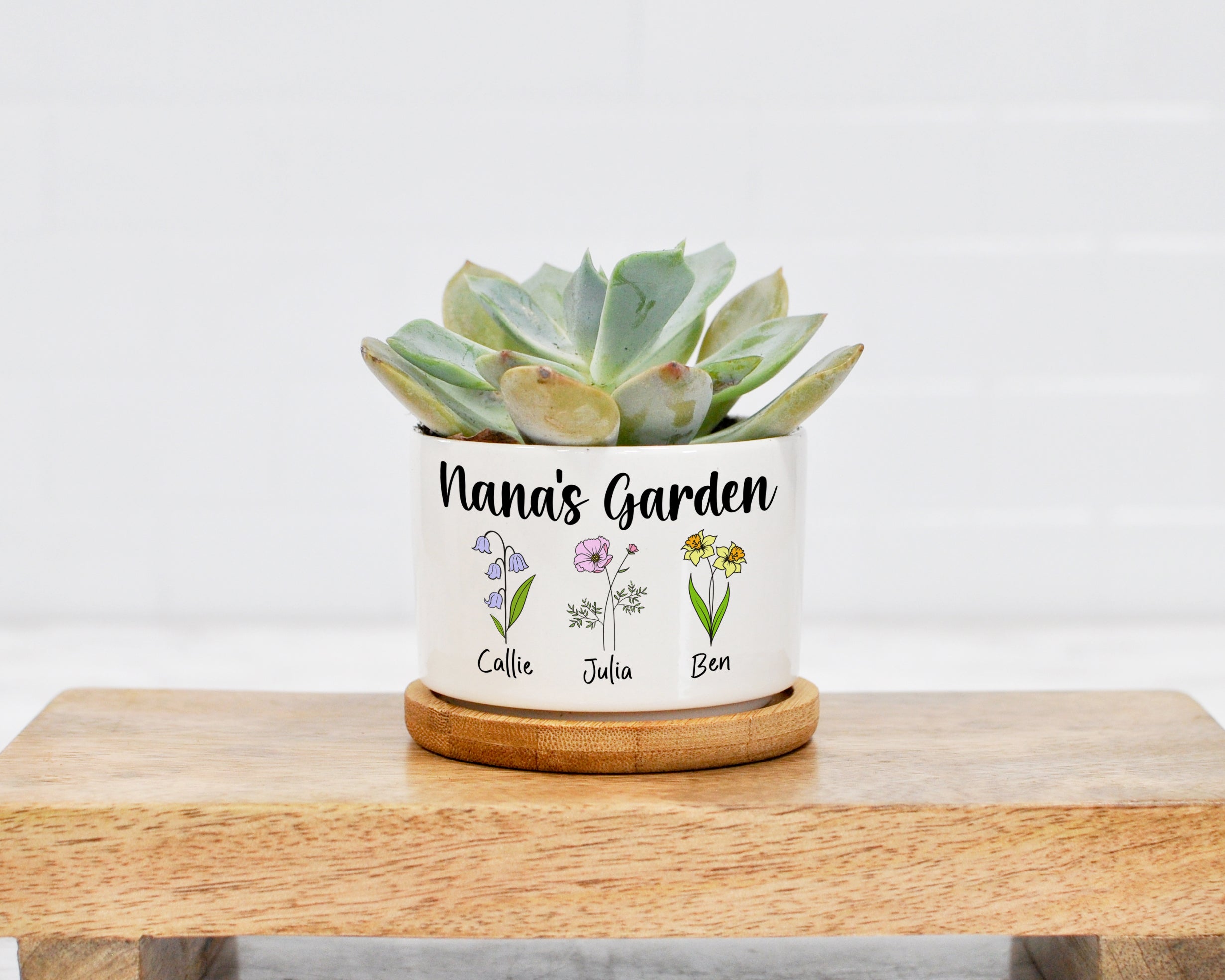 custom succulent gift Grandma's Garden Mini Planter