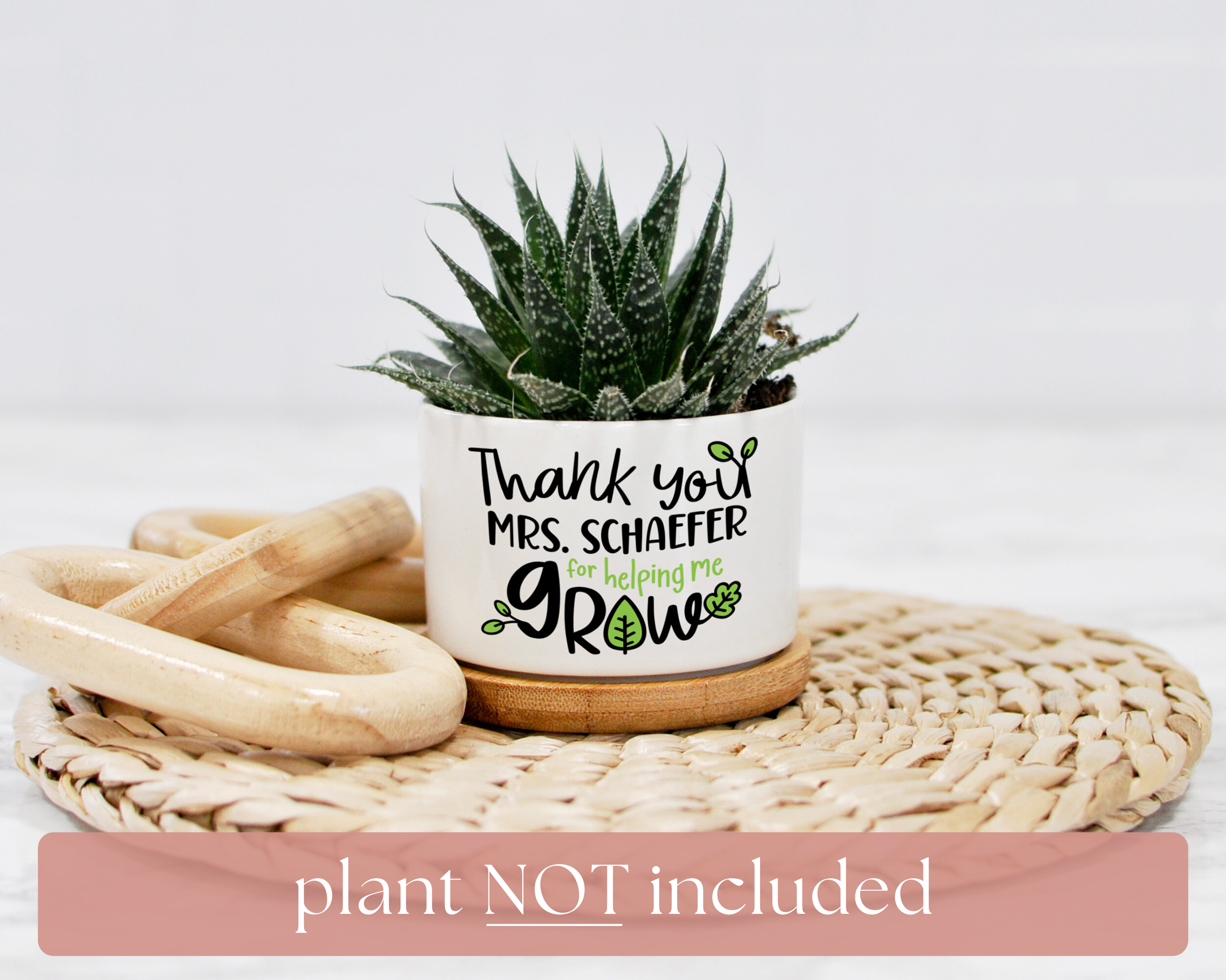 succulent teacher quotes Thank You For Helping Me Grow Mini Planter