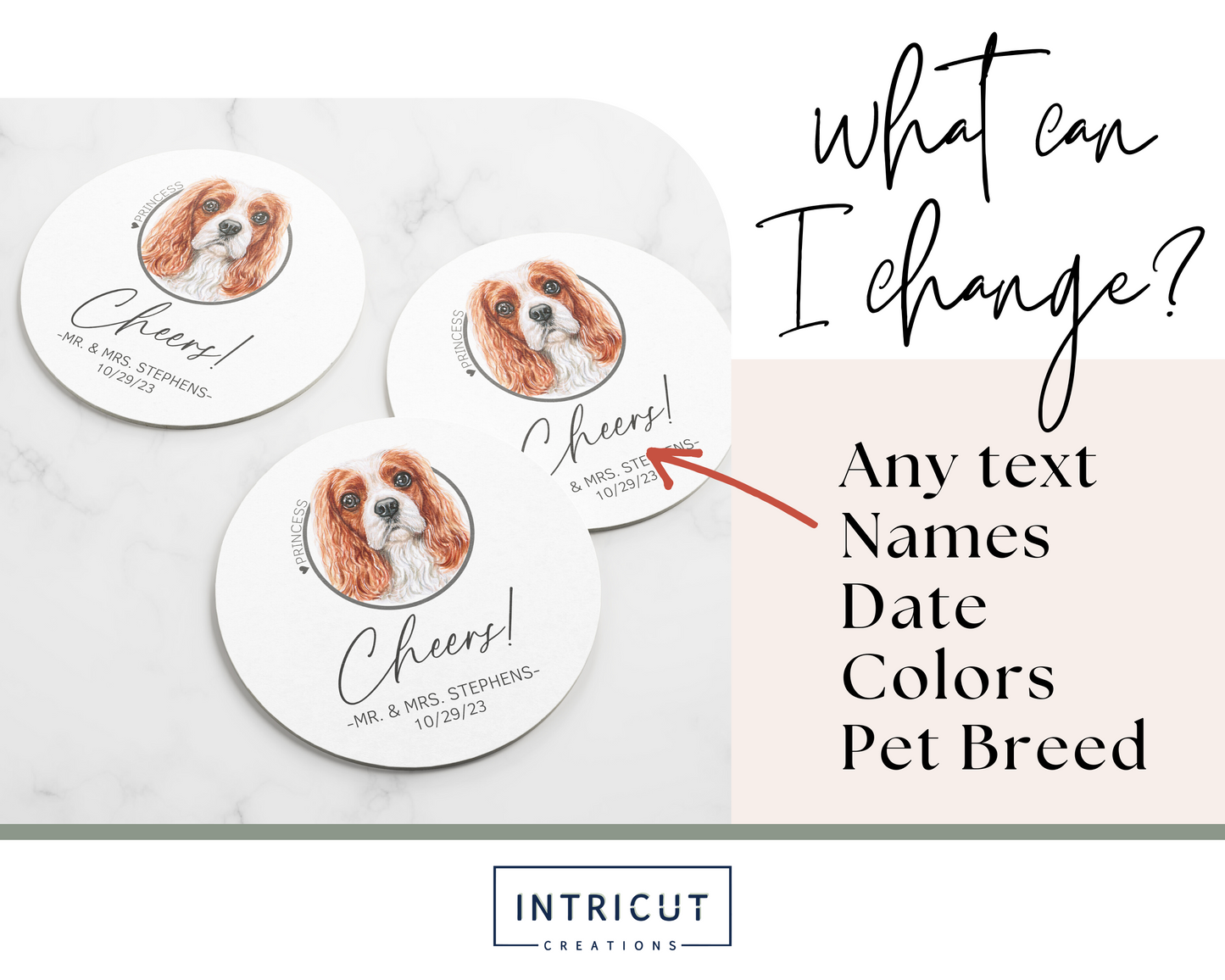 what can I change? any text, names, date, colors of text and ring, and pet breed (pet colors cannot be changed)